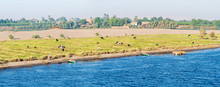 Nile Farming Midstream Panorama-