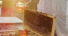Shot of golden honey being poured into a glass jar with a beehive and buzzing bees surrounding it, a beekeeper harvesting honey at sunset