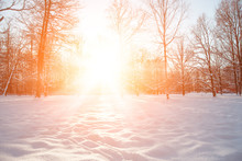 Winter Landscape. Winter December  Wonderland Scene. Christmas, New Year Postcard Design. Wintertime Magic.