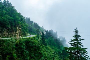 Wall Mural - a panoramic view from landour mussoorie road