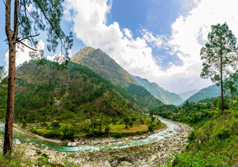 Wall Mural - a mountain river, gushaini, tirthan valley, himachal pradesh, india