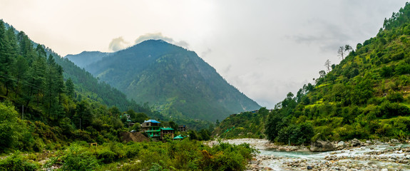Wall Mural - a mountain river, gushaini, tirthan valley, himachal pradesh, india