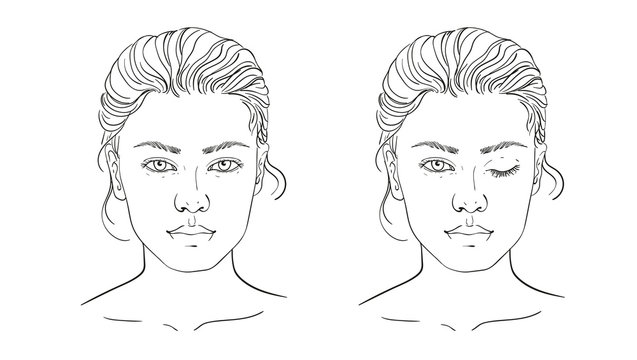 Face chart Makeup Artist Blank. Template. Vector illustration. illustration on a white background outline of the human female face for makeup.