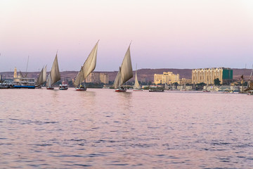 Canvas Print -  Aswan Feluccas Sailing Egypt