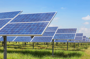 Poster - rows array of polycrystalline silicon solar cells or photovoltaic cells in solar power plant station turn up skyward absorb the sunlight from the sun 