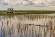 Florida Everglades airboat rides and alligators
