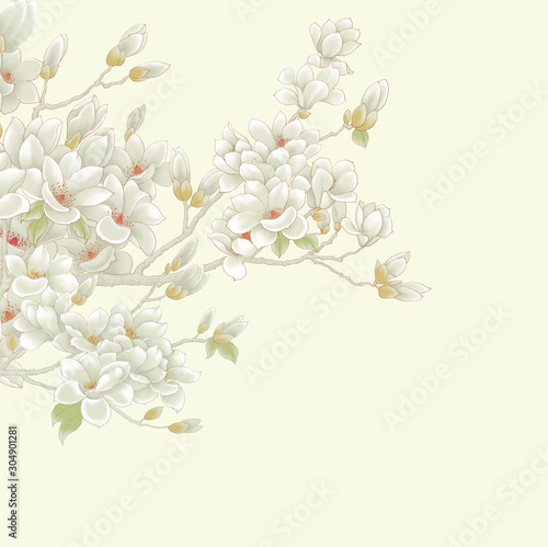 Naklejki storczyki  magnolia-kwiaty-kwitnienie-drzew-wiosna-magnolia-kwiat-rama-rysunek-ilustracja-dla