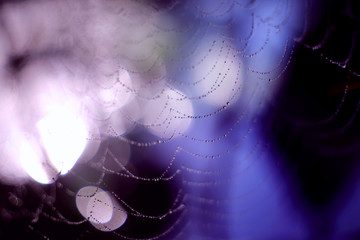 The spider's web is covered with little drops of water, and in the background light and shadow bokeh, it seems like a string of necklaces hanging in the air.