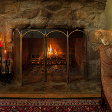 A Ginger Tabby Cat Sits By A Roaring Fire In A Fireplace