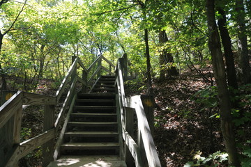 Poster - Nature Hike with Stairs and Waterfall