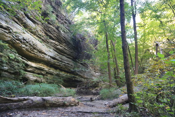 Wall Mural - Nature Hike with Stairs and Waterfall