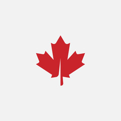 Wall Mural - maple leaf logo template vector icon illustration, maple leaf vector illustration, canadian vector s