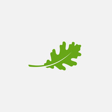 Green Leaf Ecology Nature Element Vector Icon, Leaf Icon, Green Oak Leaf Ecology Nature Element Vector
