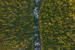 Aerial view coniferous forest and river landscape travel wilderness scenery in Finland scandinavian nature top down