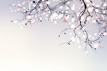 Wall Mural - Christmas garland glitters and sparkles on a tree branch. Festive blurred background. Light abstract pearl matte texture.