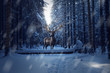 Hirsch steht in einem Winter Wald mit Schneefall. Lichterketten an den Bäumen und Geweih. Weihnachten.