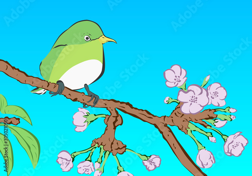 桜 うぐいす イラスト カード ポストカード Comprar Este Vector De Stock Y Explorar Vectores Similares En Adobe Stock Adobe Stock