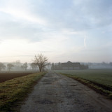 Fototapeta Na ścianę - road in the fog