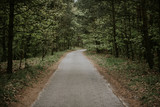Fototapeta Sawanna - Sunny Path through a Forest in summer time