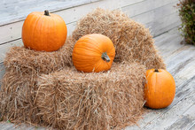 Three Yellow Pumpkins Lies On Hay Bales. Farm Green Product. Pumpkin Autumn, Concept Of Halloween And Autumn Harvest.
