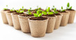 © 22Imagesstudio - Green plants in fiber pots on white background. Ecologic biodegradable material concept.