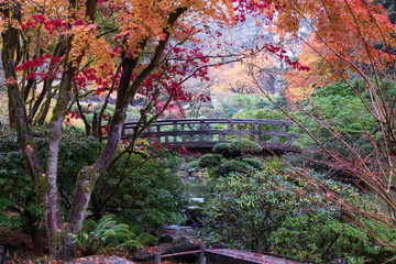 Canvas Print - Japanese Garden Bridge with Maples