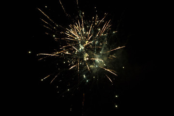 Wall Mural - eautiful single firework closeup on black background