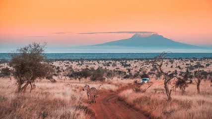 wide shot of a beautiful jungle under the colorful sky captured in tsavo west, kilimanjaro, kenya