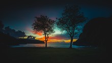 Trees At The Shore At Sunset, Sumbawa