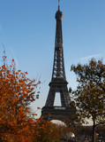 Fototapeta Boho - Beautiful view of autumn trees with the Eiffel tower in the foreground in Paris.