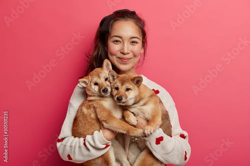Happy korean female dog owner shows her family members, stands with two adorable pedigree puppies, bought hunting shiba inu dogs, spend time at home Canvas Print