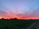 Fototapeta Na sufit - sunset over green field