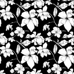 Wall Mural - Vector Magnolia floral botanical flowers. Black and white engraved ink art. Seamless background pattern.