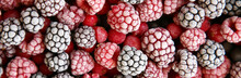 Frozen Berries Used As Background
