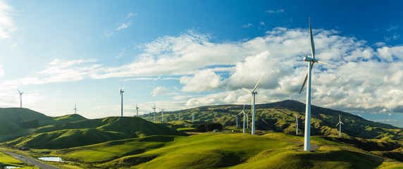 Wall Mural - ニュージーランド　Te Apiti Wind Farm