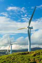 Sticker - ニュージーランド　テアピティウィンドファームの風力発電　Te Apiti Wind Farm