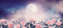 Fairytale Fantasy Photo Background Of Magical Deep Blue Dark Night Sky With Shining Stars, Glowing Full Moon And Beautiful Fairy Pink Rose Flower Garden. Idyllic Tranquil Fabulous Panoramic Scene.