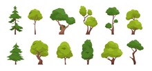 Cartoon Tree. Simple Flat Forest Flora, Coniferous And Deciduous Meadow Trees, Oak Pine Christmas Tree Isolated Plants. Vector Set Illustration Agricultural Garden And Nature Park Plant