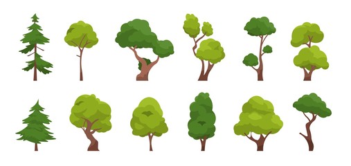 cartoon tree. simple flat forest flora, coniferous and deciduous meadow trees, oak pine christmas tr