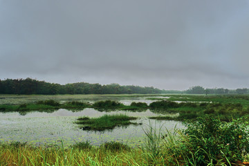 Landscape with river and clouds, Assinie Mafia, Cote D'Ivoire