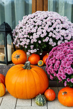 Beautiful Home Decoration With Pumpkins, Chrysanthemum Flowers And Candles.