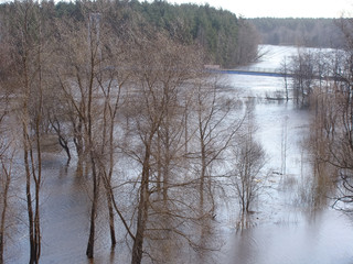 Wall Mural - misty spring landscape with flooded river, view from above over the roof