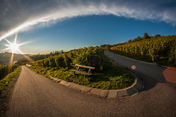 weinbergweg 2