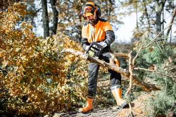 Poster - Lumberman in protective workwear sawing with a chainsaw branches from a tree trunk in the forest. Concept of a professional logging