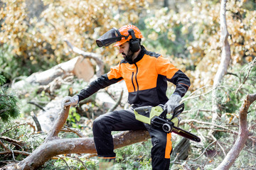 Poster - Portrait of a professional lumberman in protective workwear sitting with a chainsaw on the felled tree, resting after the hard work in the forest