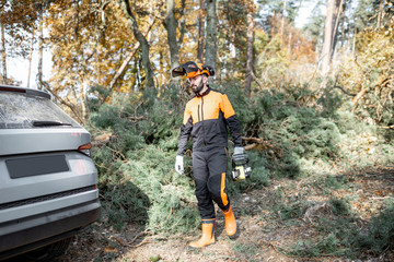 Wall Mural - Professional lumberman in protective clothes making woods logging with chainsaw, going to his SUV car in the forest