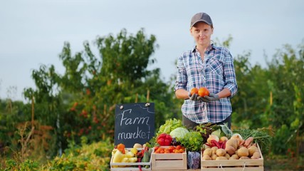 Wall Mural - Portrait of young farmer woman with tomatoes in hands behind farm market counter