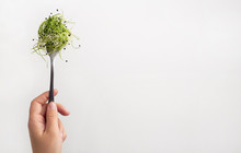 Woman Holding Microgreens On Fork Isolated On White