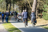 Fototapeta  - Bicyclists in national park Loonse en Drunense duinen in Waalwijk, Brabant, Netherlands.