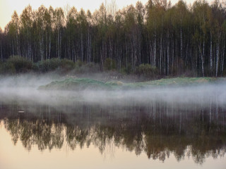 Wall Mural - Sunrise landscape at the water, trees reflection in the lake on foggy morning, early morning reeds mist fog and water surface on the lake       
